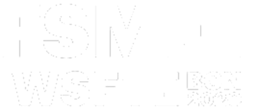 FSMET 2020's official logo